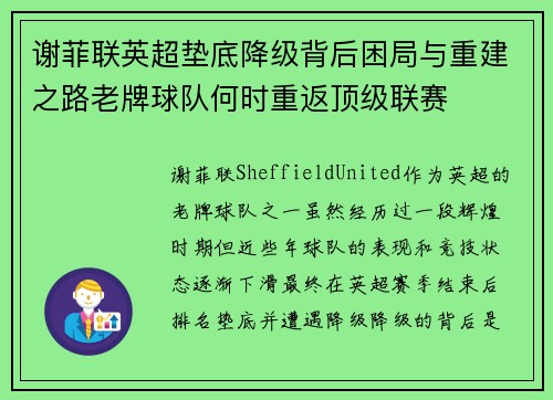 谢菲联英超垫底降级背后困局与重建之路老牌球队何时重返顶级联赛